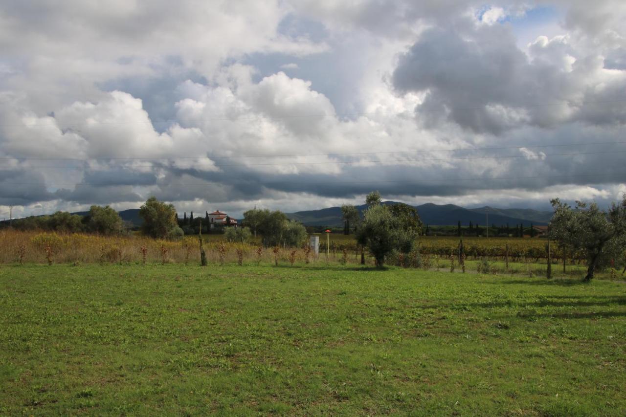 Podere Campo Alle Serpi Биббона Экстерьер фото