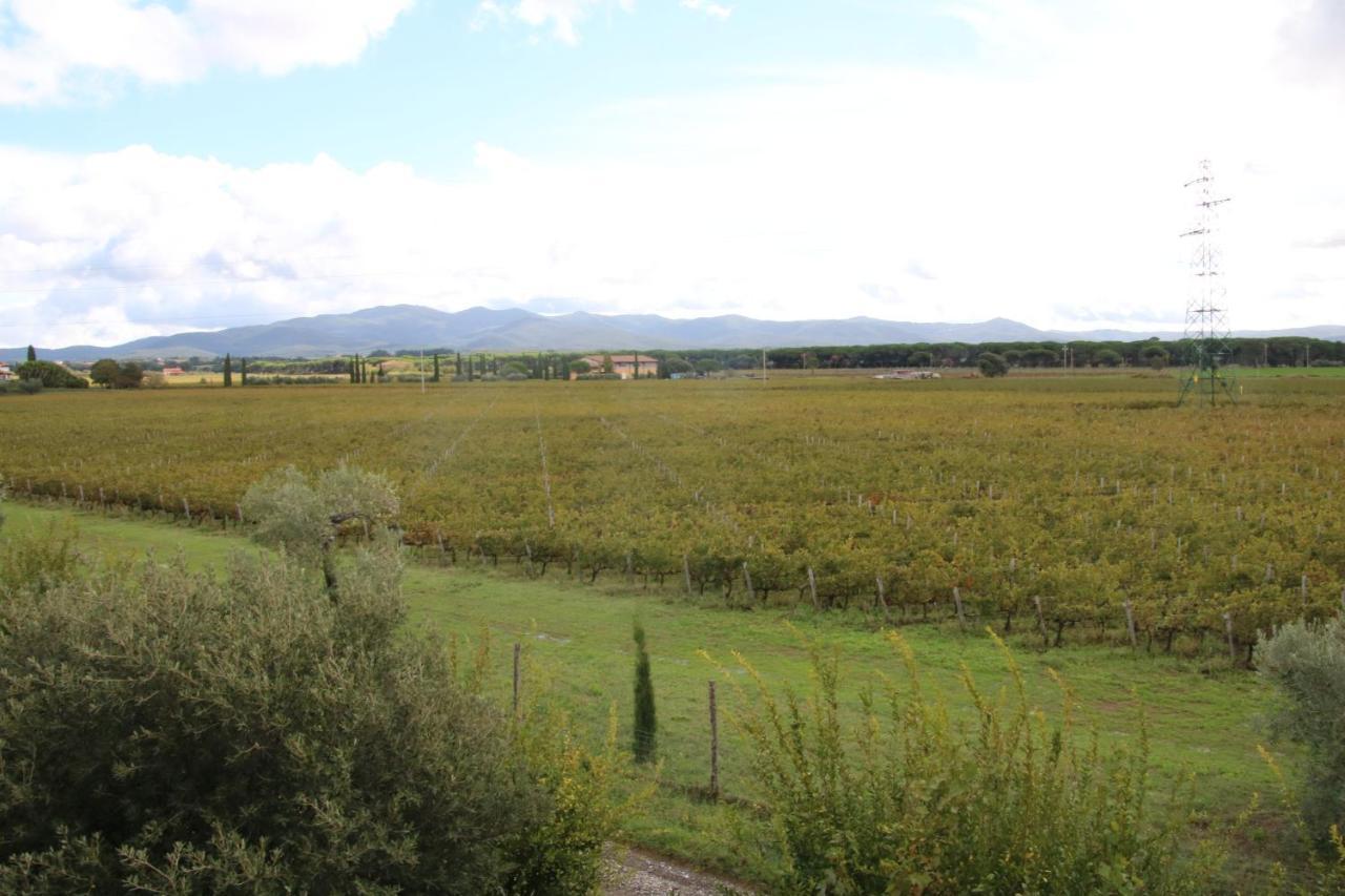 Podere Campo Alle Serpi Биббона Экстерьер фото