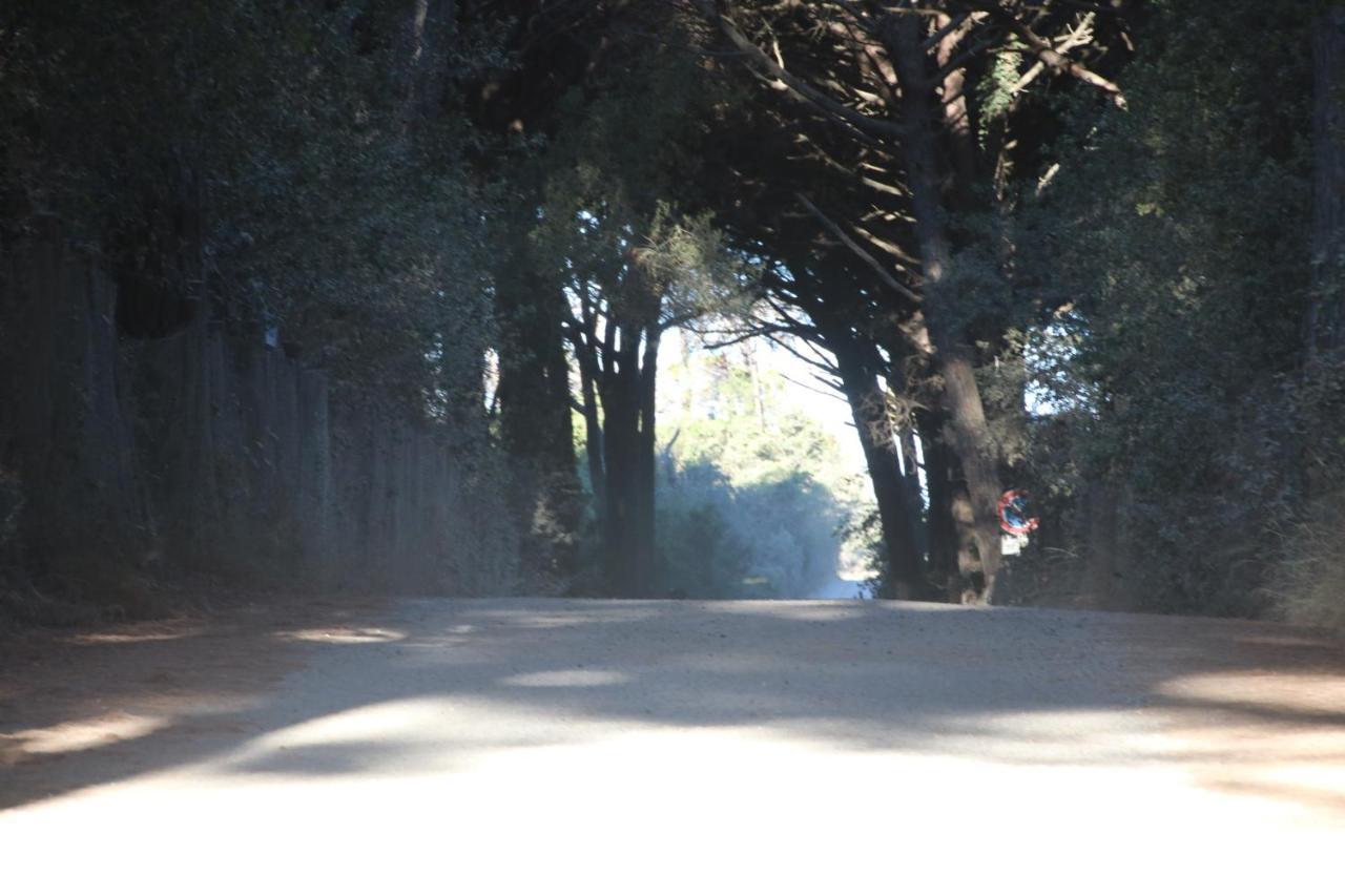 Podere Campo Alle Serpi Биббона Экстерьер фото