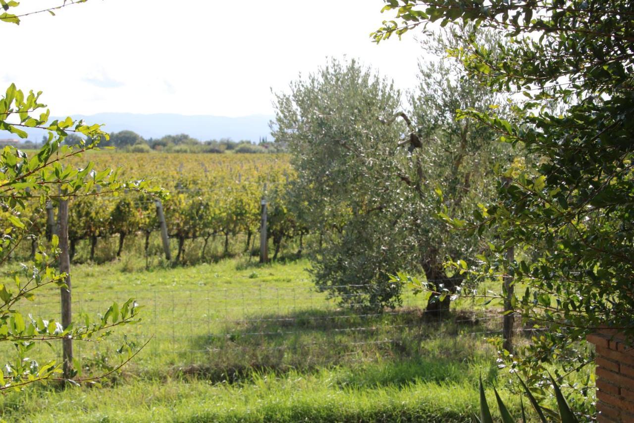 Podere Campo Alle Serpi Биббона Экстерьер фото