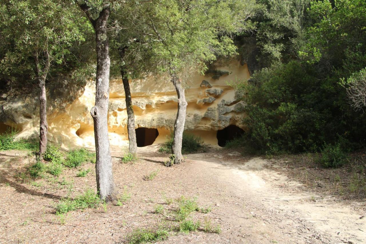 Podere Campo Alle Serpi Биббона Экстерьер фото
