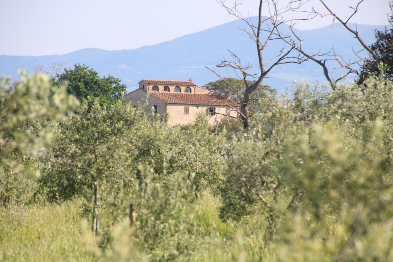 Podere Campo Alle Serpi Биббона Экстерьер фото