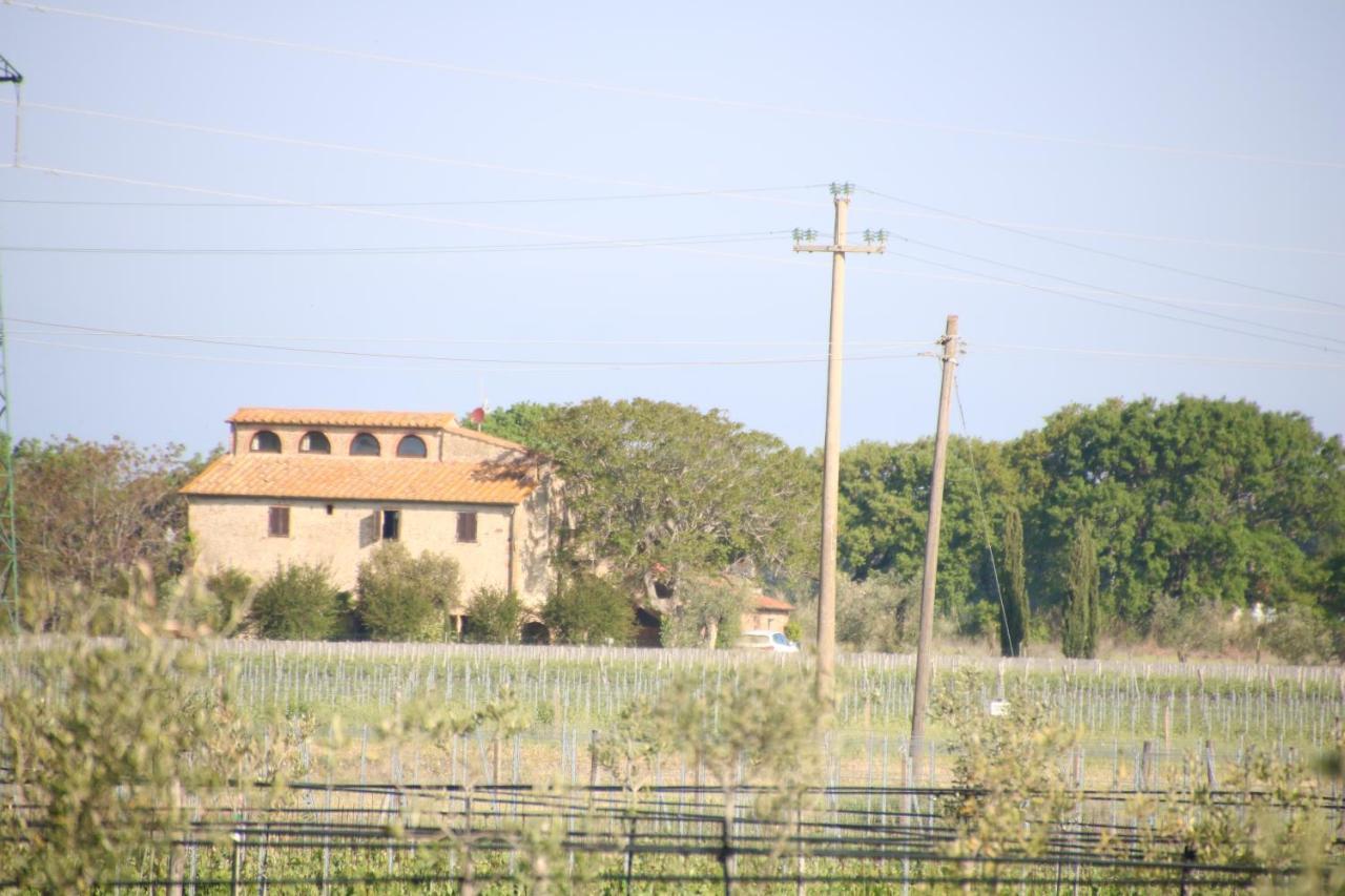Podere Campo Alle Serpi Биббона Экстерьер фото
