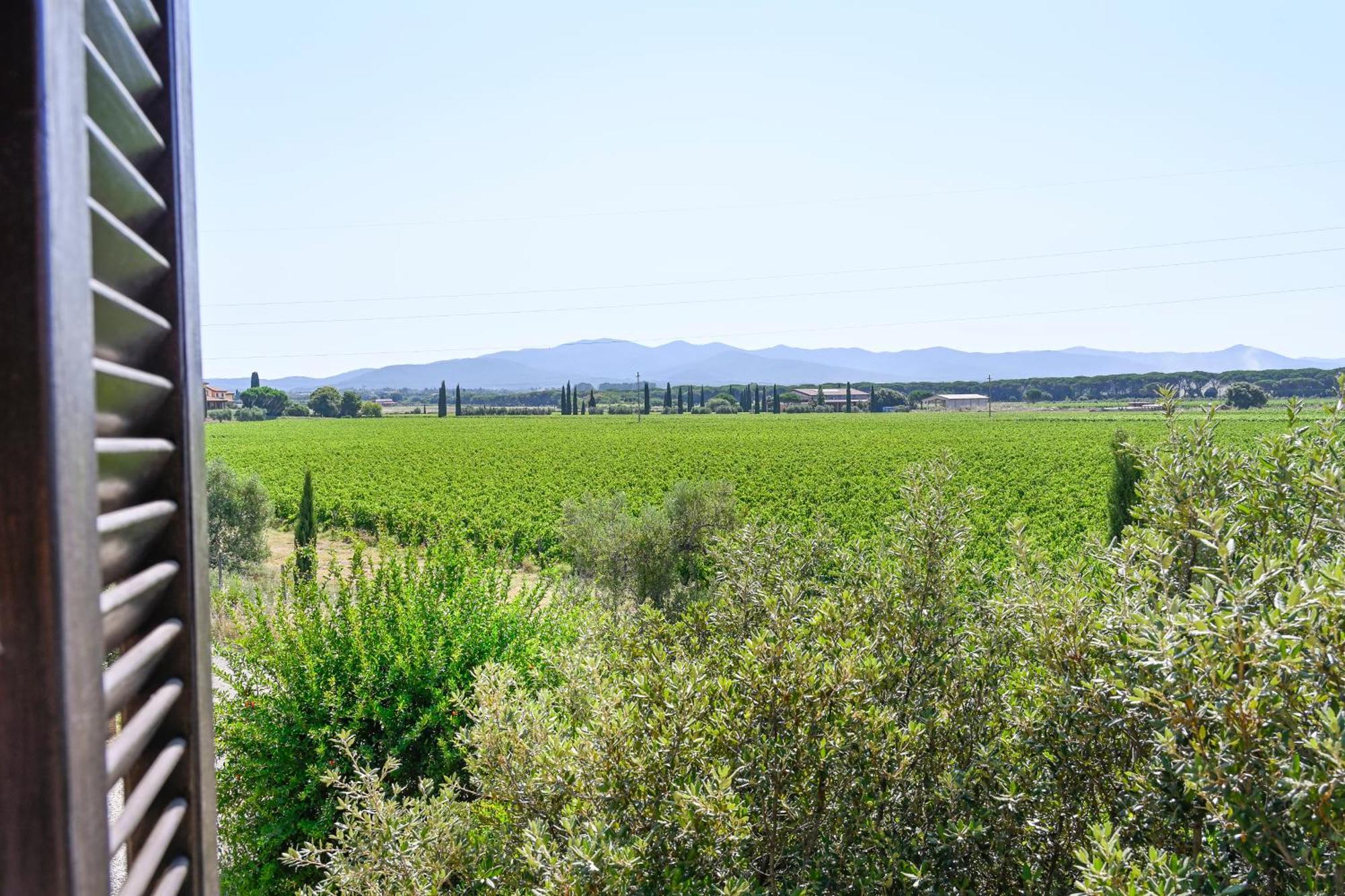 Podere Campo Alle Serpi Биббона Номер фото