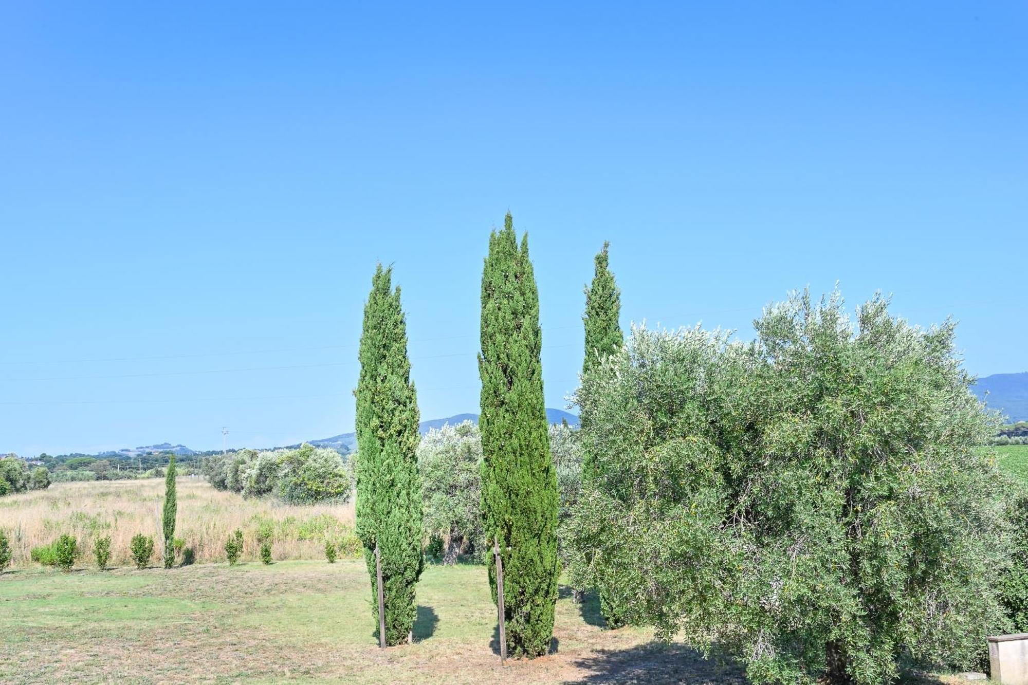 Podere Campo Alle Serpi Биббона Номер фото