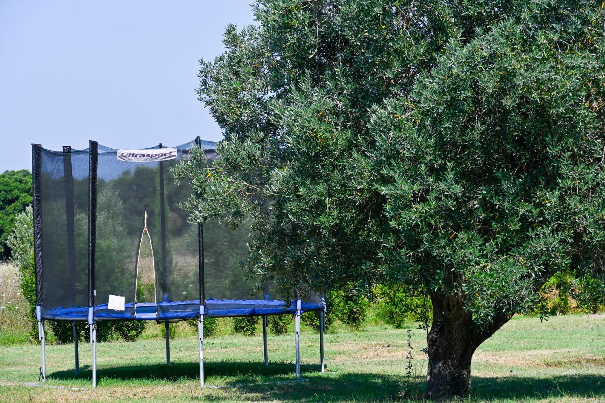 Podere Campo Alle Serpi Биббона Экстерьер фото