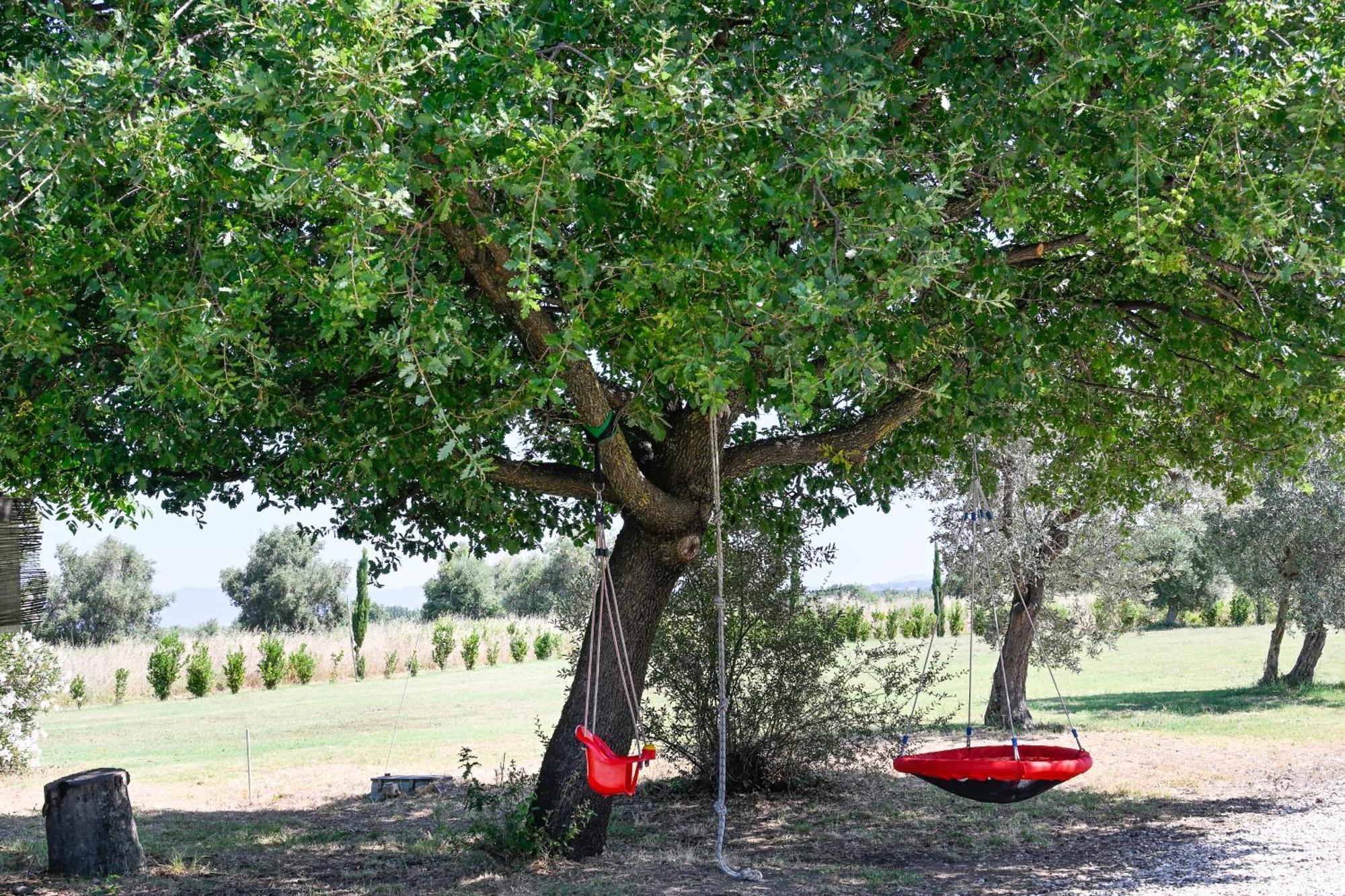 Podere Campo Alle Serpi Биббона Экстерьер фото